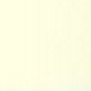 Meet your Posher, Abbie